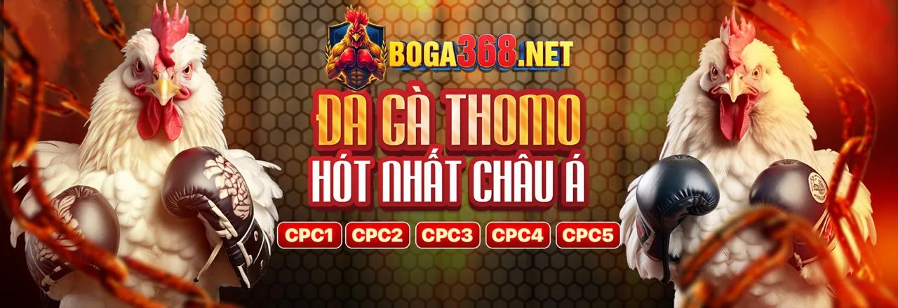 Đá Gà Trực Tuyến bwing88